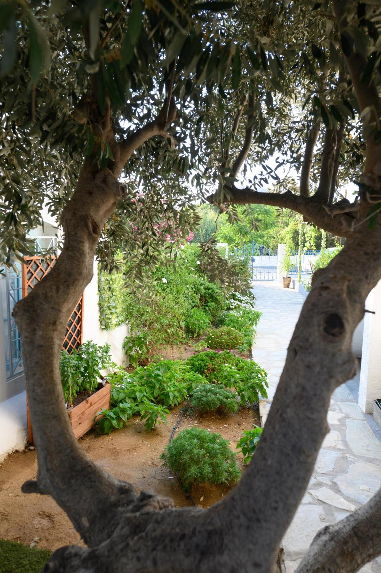 Verano * Panormos (Kalymnos)