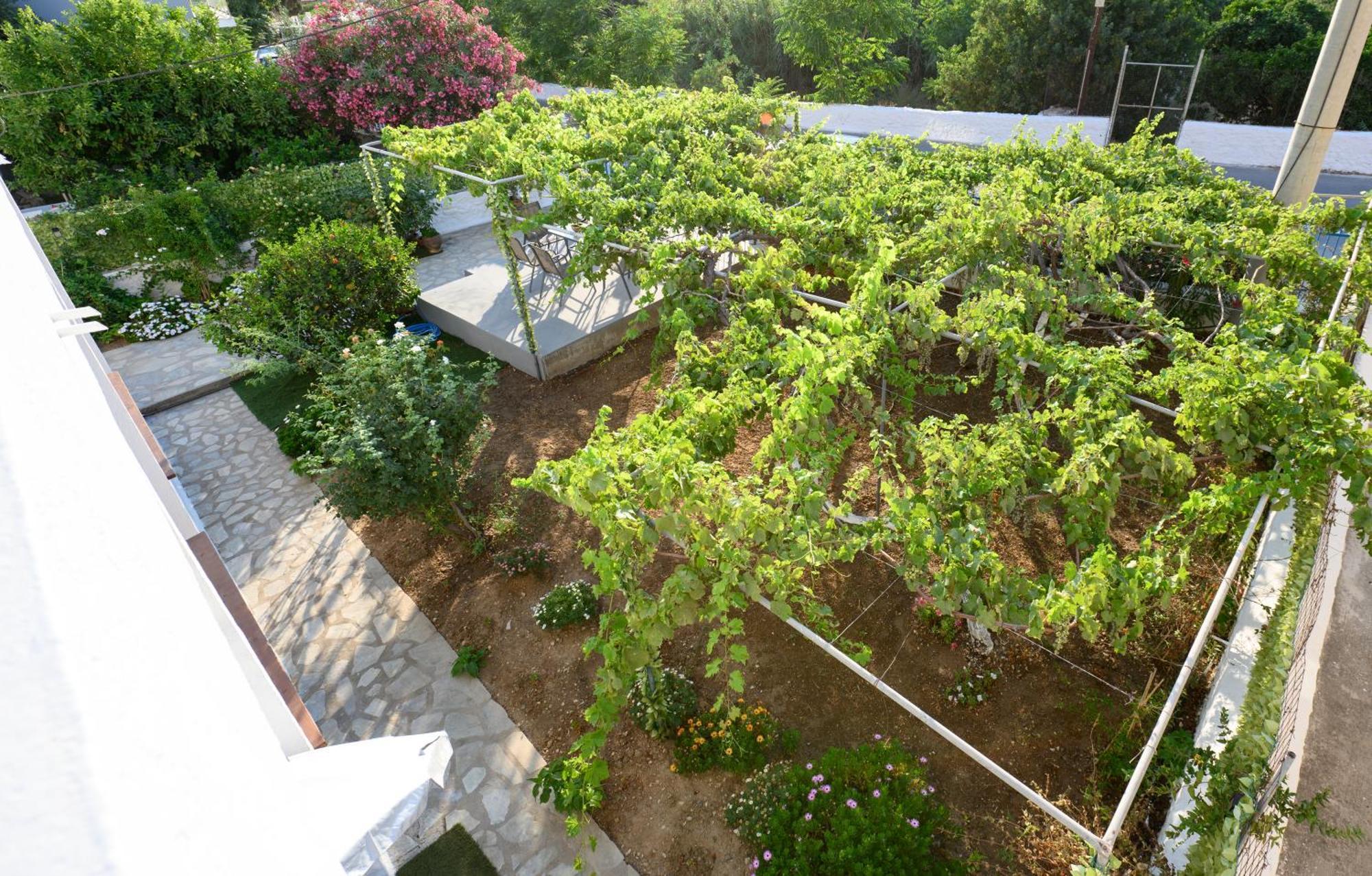 Verano * Panormos (Kalymnos)